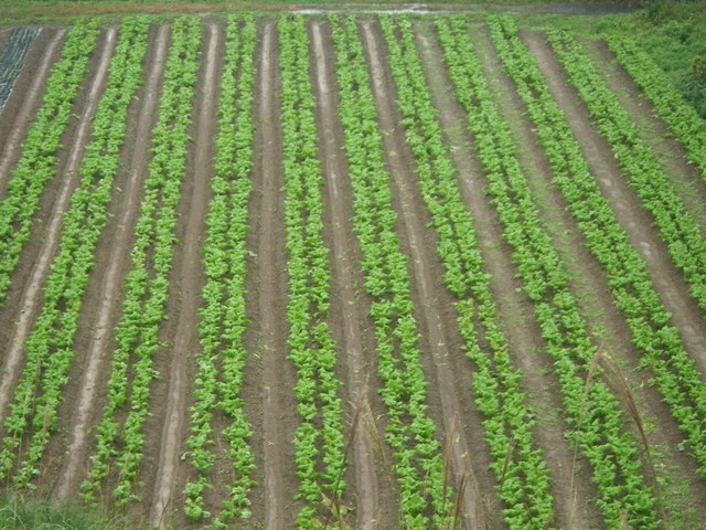 f0055264_21234729.jpg