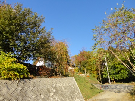 d0152765_21102682.jpg