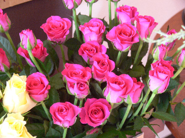 e0140986_11263020.jpg