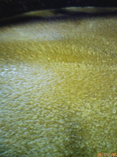 c0115092_165141.jpg