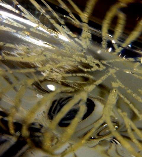 b0147093_16282222.jpg