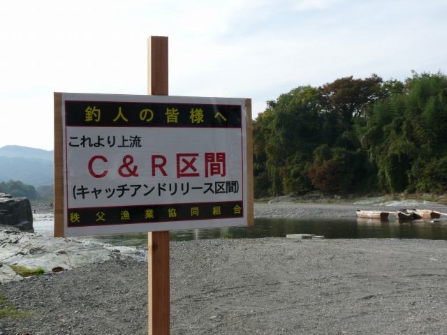e0202393_13494868.jpg