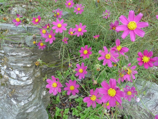e0202393_14153559.jpg