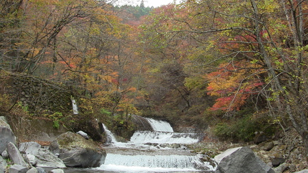 f0015796_230840.jpg