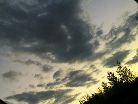 d0173197_150147.jpg