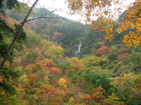 f0146802_21325589.jpg