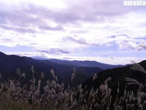 b0061004_11392625.jpg