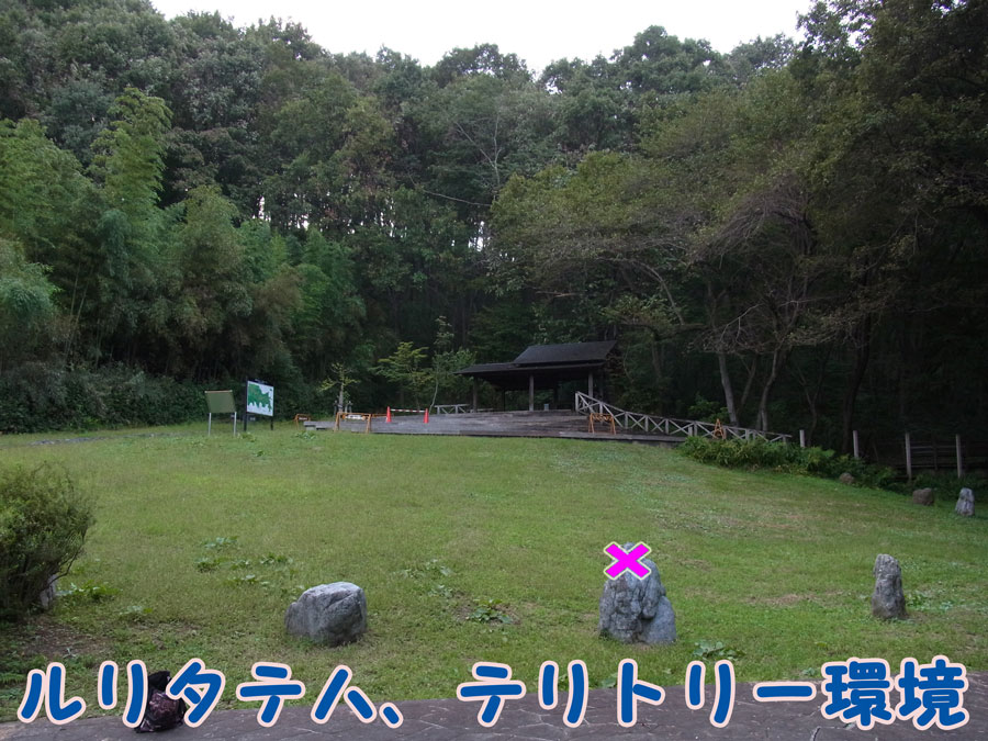 e0253104_17195995.jpg