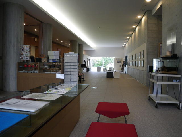 a0116205_14355423.jpg