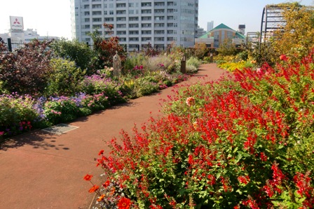 f0236311_79625.jpg