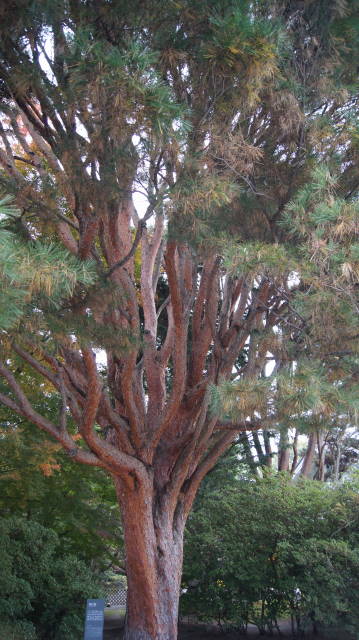 f0233414_20265113.jpg
