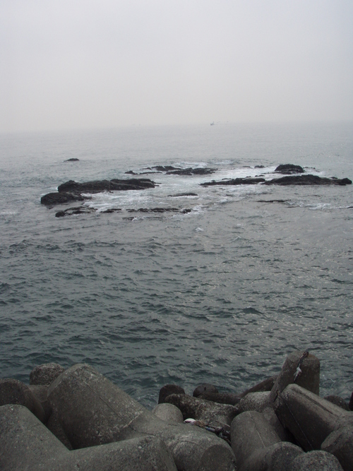 b0121015_186912.jpg