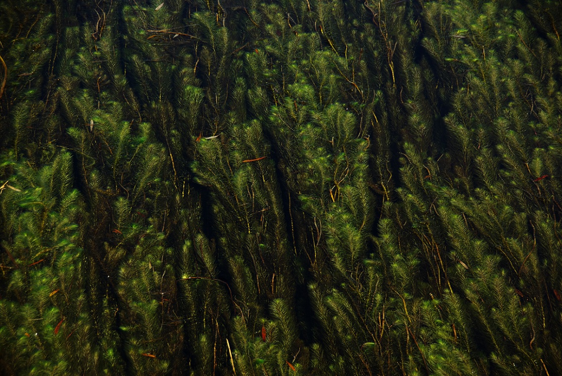 b0062024_22155631.jpg