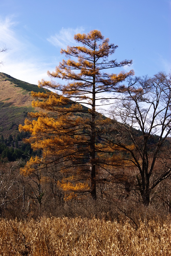 b0062024_22172044.jpg