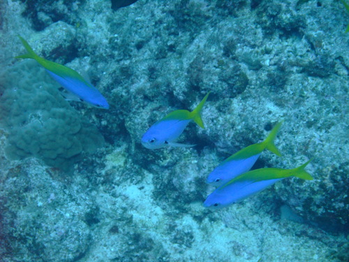 d0060326_17591635.jpg