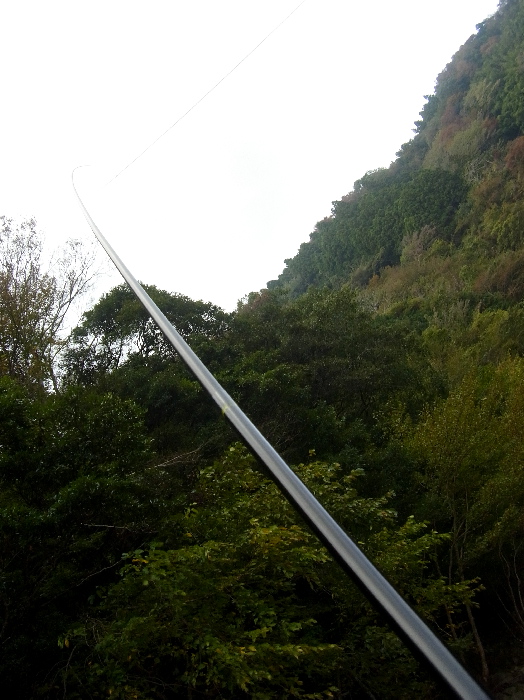 f0103126_13282642.jpg