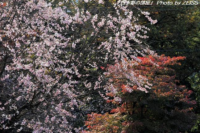 a0195032_205388.jpg