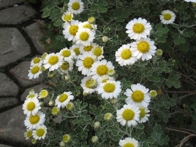 c0195439_22564356.jpg