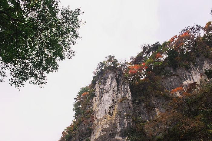 c0211639_23263037.jpg