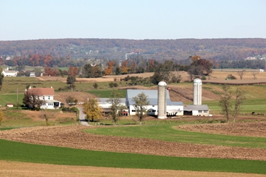 f0161543_7561288.jpg