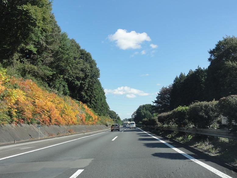 c0156345_11551044.jpg