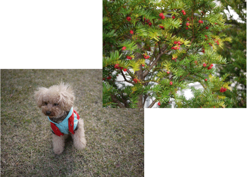 b0182846_9431832.gif