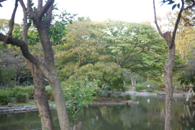 a0206647_11113968.jpg