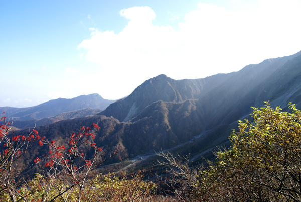 f0214649_8495761.jpg
