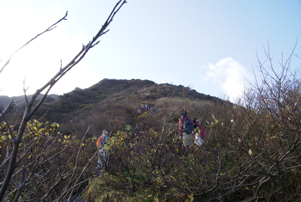 f0214649_8542850.jpg