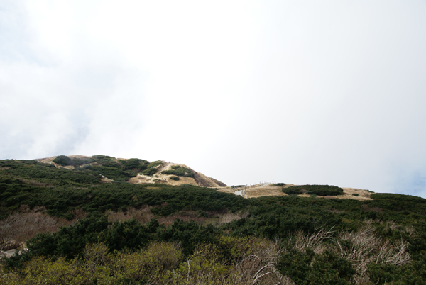 f0214649_904517.jpg