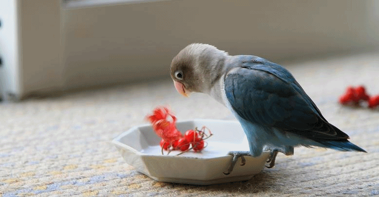 c0145250_2214731.gif
