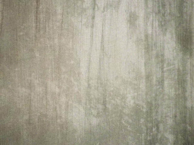 a0159652_1658778.jpg