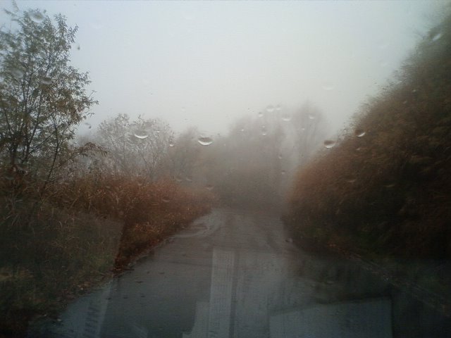d0178152_22291560.jpg