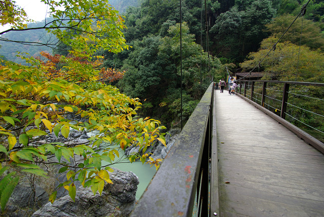c0080357_12445019.jpg