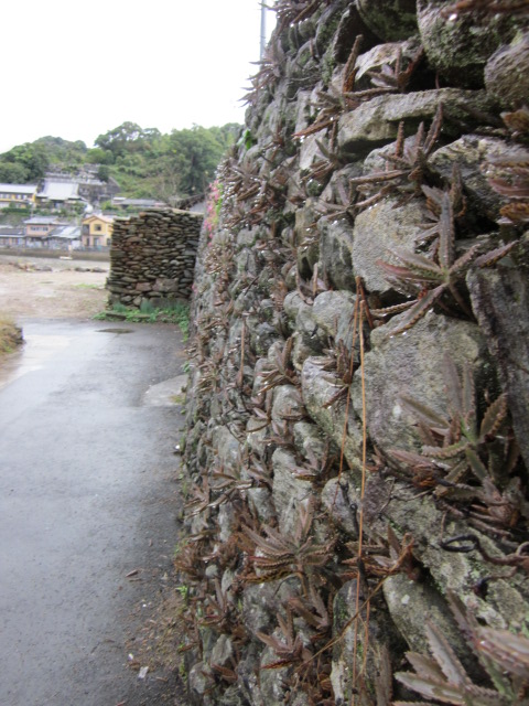 e0181260_22223577.jpg