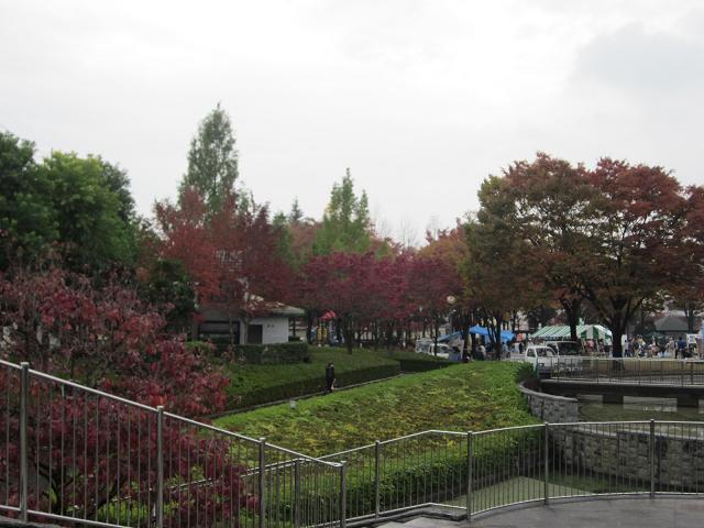 a0120264_16535226.jpg