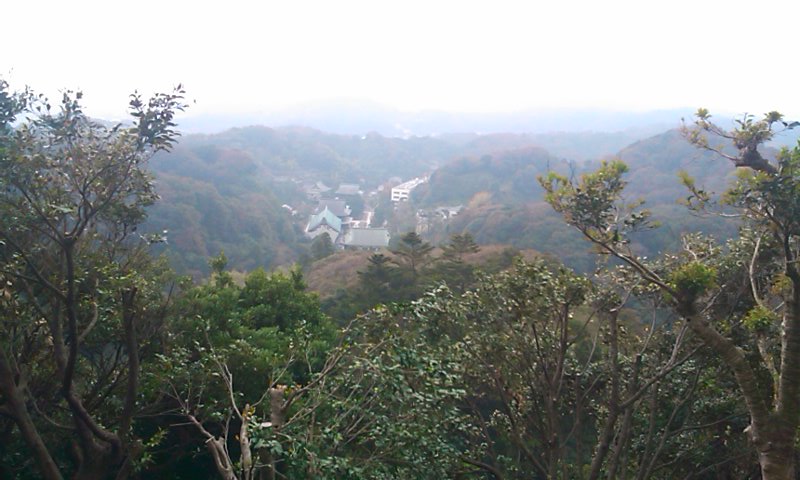 d0158464_12412654.jpg