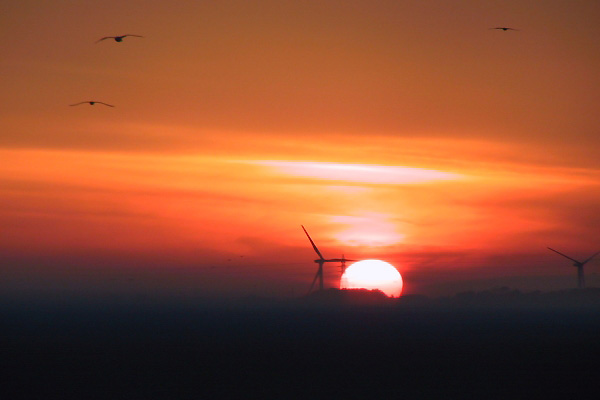 e0000968_10312012.jpg