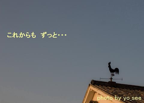 b0185771_23424264.jpg