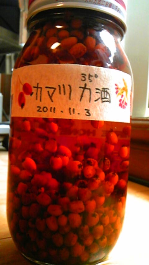 e0118274_21115761.jpg
