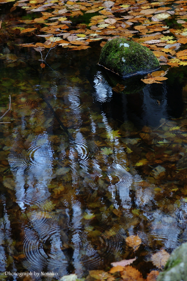 c0106977_9415446.jpg