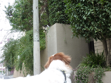 e0207477_0375050.jpg