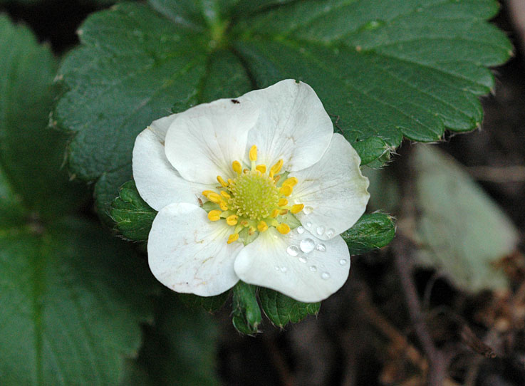 b0057679_8301145.jpg