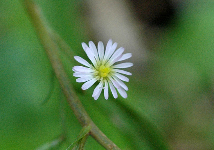 b0057679_8305236.jpg