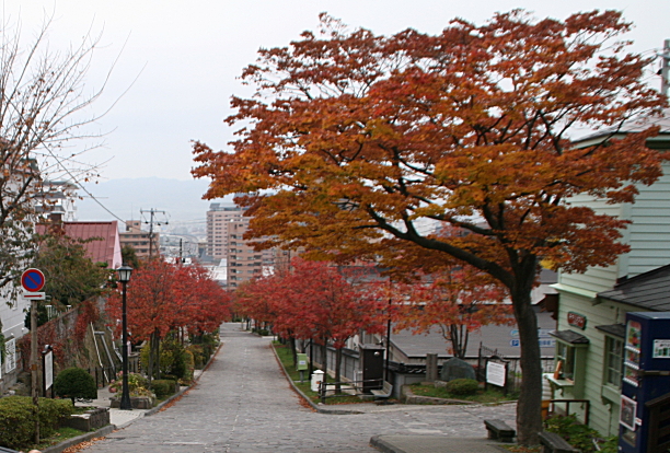 c0112479_724233.jpg