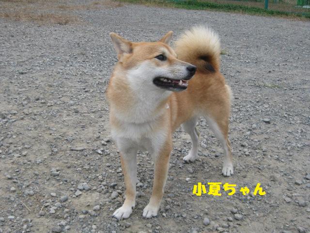 f0230380_18295966.jpg