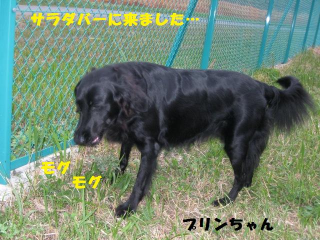 f0230380_18384733.jpg