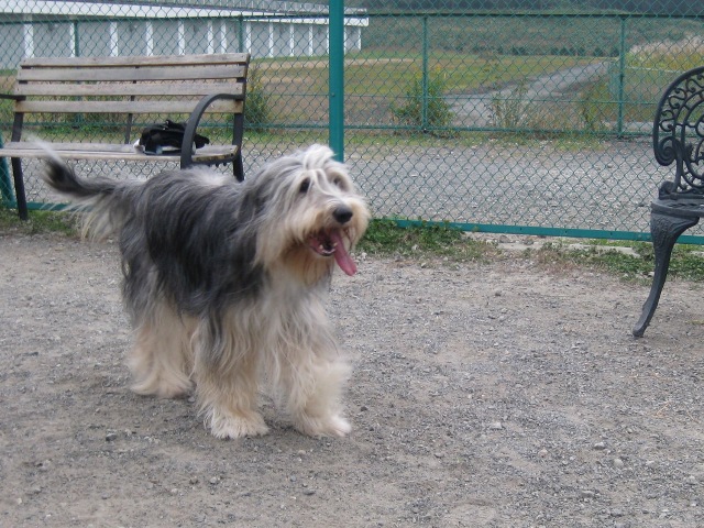 f0230380_18412157.jpg