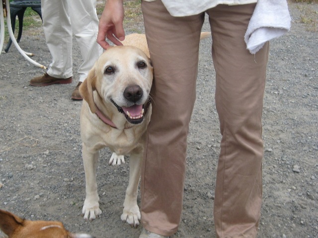 f0230380_1841533.jpg