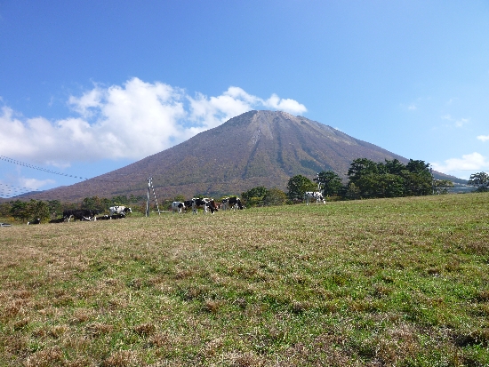 b0029182_16264352.jpg